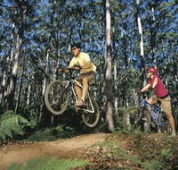 Leeuwin-Naturaliste National Park - Cowaramup - Lightning Ridge Tourism