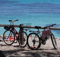 Parker Point Marine Snorkel Trail - Lightning Ridge Tourism