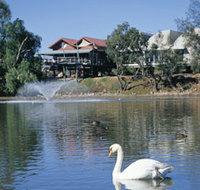 White Swans - Lightning Ridge Tourism