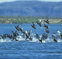 Ord River - Lightning Ridge Tourism