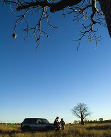  Lightning Ridge Tourism