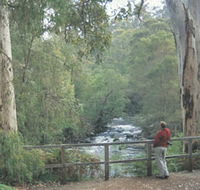 Cascades - Lightning Ridge Tourism