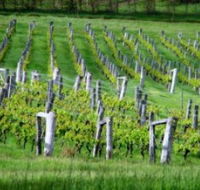 Sienna Estate Winery - Lightning Ridge Tourism