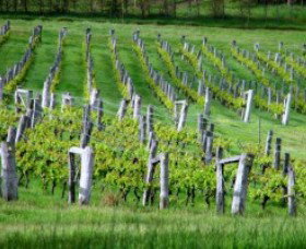 Sienna Estate Winery - Lightning Ridge Tourism 0