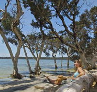 Stokes National Park - Lightning Ridge Tourism
