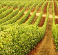 Darlington Estate Winery and Restaurant - Lightning Ridge Tourism