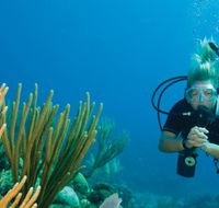 Coastal Water Dive - Lightning Ridge Tourism