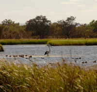 Anytime Adventures in Mandurah  the Peel Region - Lightning Ridge Tourism