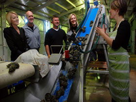 Port Lincoln SA Lightning Ridge Tourism