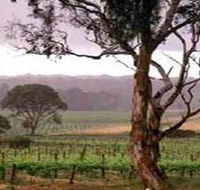 Yangarra Estate Vineyard - Lightning Ridge Tourism