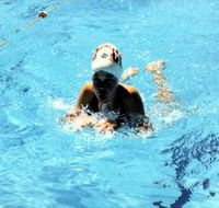 Mount Gambier Aquatic Centre - Lightning Ridge Tourism