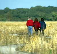 Onkaparinga River Recreation Park - Lightning Ridge Tourism
