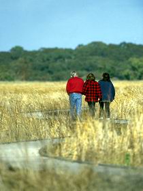 Onkaparinga River Recreation Park - Lightning Ridge Tourism 0