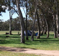 Black Cockatoo Bush Camp - Lightning Ridge Tourism