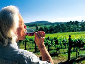 Ashton Hills Vineyard - Lightning Ridge Tourism 0