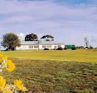 Lucindale Country Club - Lightning Ridge Tourism
