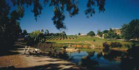 Mount Hurtle Winery Home Of Geoff Merrill Wines - Lightning Ridge Tourism 0
