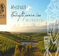 Maximus Wines Australia - Lightning Ridge Tourism