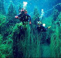 Ewens Ponds Conservation Park - Lightning Ridge Tourism