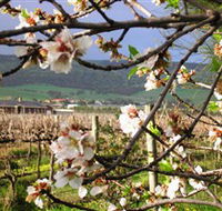 Cradle of Hills McLaren Vale Winery - Lightning Ridge Tourism