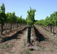 Temple Bruer Winery - Lightning Ridge Tourism