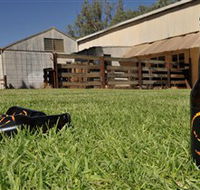 Wilkadene Woolshed Brewery - Lightning Ridge Tourism