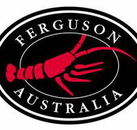 Ferguson Australia Pty Ltd - Lightning Ridge Tourism