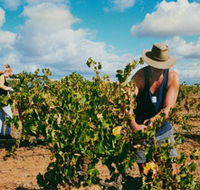 Torbreck Vintners - Lightning Ridge Tourism