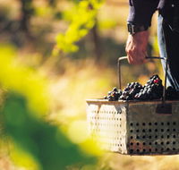Burge Family Winemakers - Lightning Ridge Tourism
