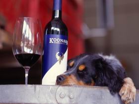 Koonara Wines - Lightning Ridge Tourism 0