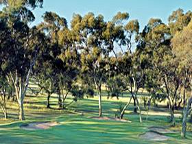 Tanunda Pines Golf Club - Lightning Ridge Tourism 0