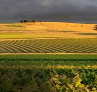 Kellermeister Wines - Lightning Ridge Tourism