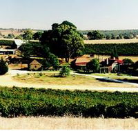 Irvine Wines - Lightning Ridge Tourism