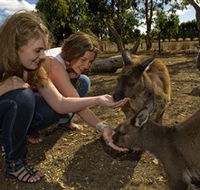 Kangaroo Island Wildlife Park - Lightning Ridge Tourism