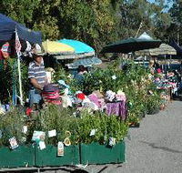 Meadows Monthly Market - Lightning Ridge Tourism