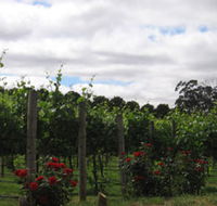 Manyara Vineyard - Lightning Ridge Tourism