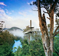 Tahune Adventures Tasmania - Lightning Ridge Tourism