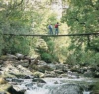 Arve Forest Drive - Lightning Ridge Tourism