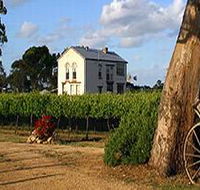 Highbank Vineyards - Lightning Ridge Tourism