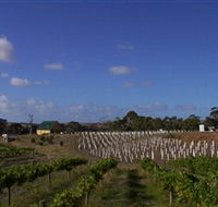 Deep Creek Wines and Alpacas - Lightning Ridge Tourism