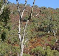 Black Hill Conservation Park - Lightning Ridge Tourism