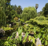 Adelaide Himeji Garden - Lightning Ridge Tourism