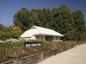  Lightning Ridge Tourism