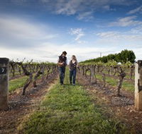 Coonawarra Wineries Walking Trail - Lightning Ridge Tourism