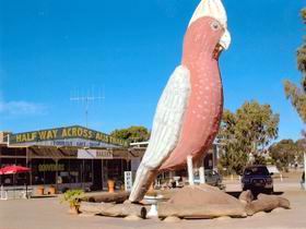  Lightning Ridge Tourism