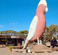 The Big Galah - Lightning Ridge Tourism