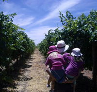 McLaren Vale Orchards - Lightning Ridge Tourism