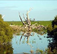 Bool Lagoon Game Reserve and Hacks Lagoon Conservation Park - Lightning Ridge Tourism