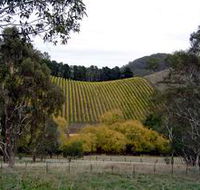 Mt Bera Vineyards - Lightning Ridge Tourism