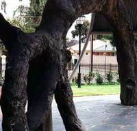 Old Gum Tree - Lightning Ridge Tourism